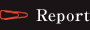 Report